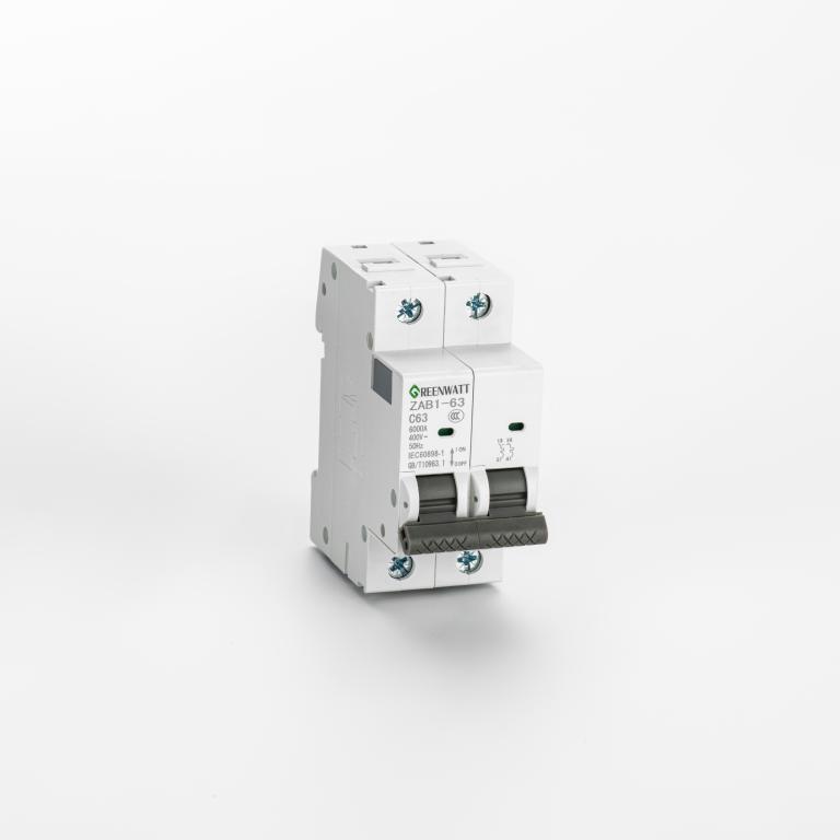 เอซีเซอร์กิตเบรกเกอร์ Curve C 10A 2P 6kA