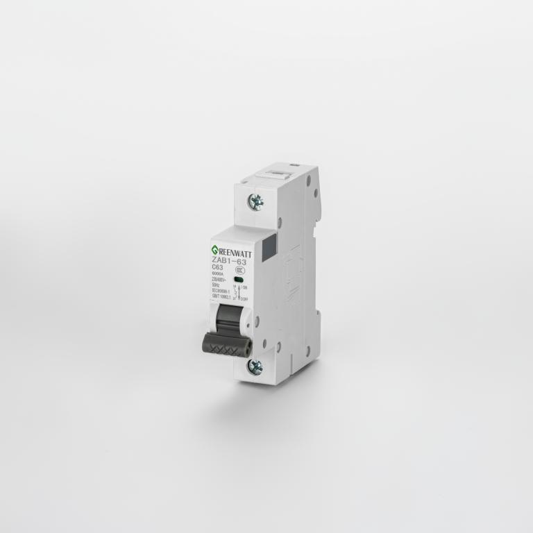 เอซีเซอร์กิตเบรกเกอร์ Curve C 63A 1P 6kA